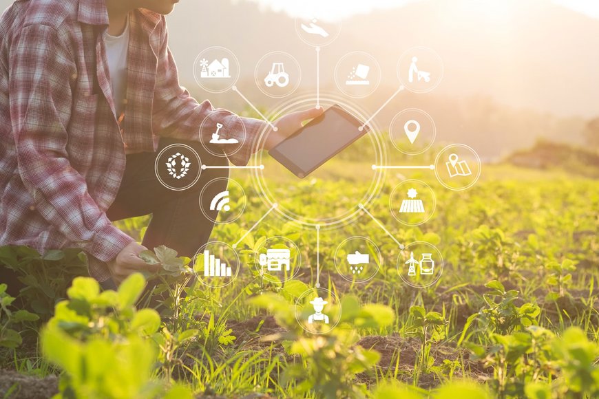 Mas Elettronica : 5G, IoT e blockchain per l’agricoltura sostenibile 